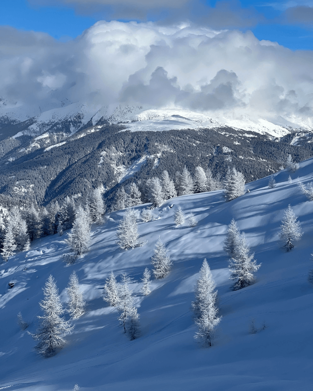 3. Ski Camp: San Candido, Dolomites - January 2024