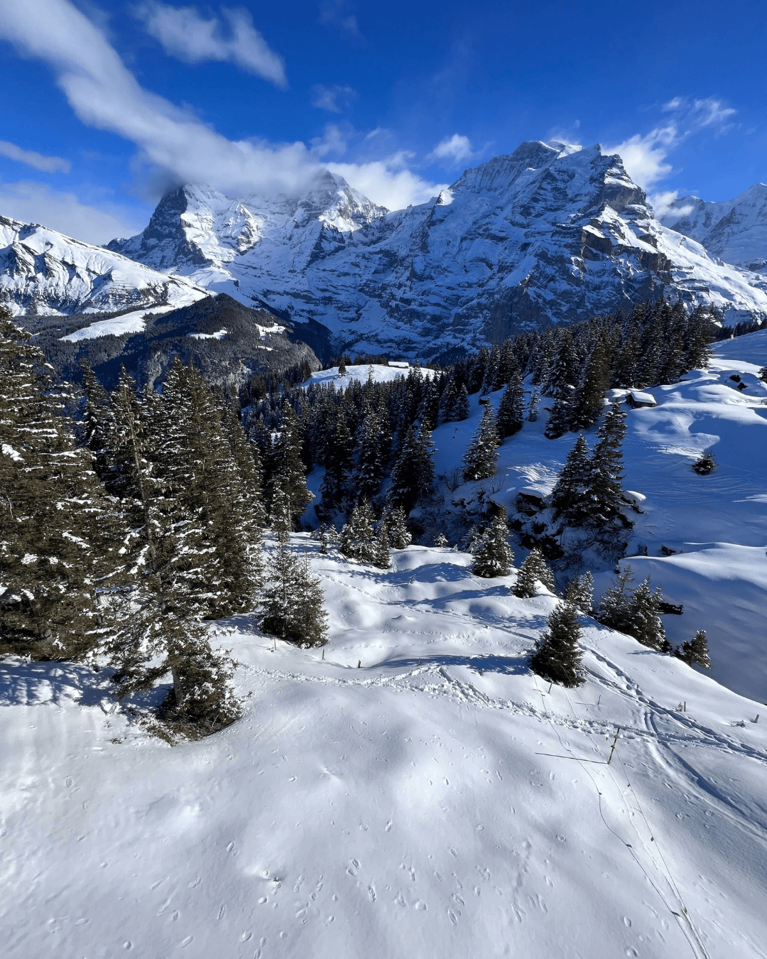 2. Ski Camp: Mürren - December 2023